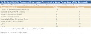 2011 Gallup Poll